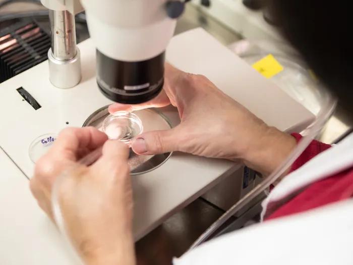researcher working in lab close-up perspective