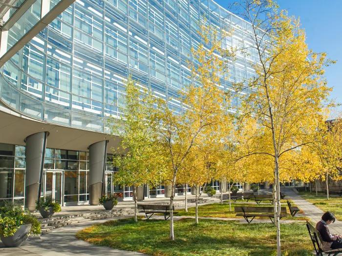 exterior shot of biomedical science research building a researcher is sitting on a bench underneath a tree in bloom