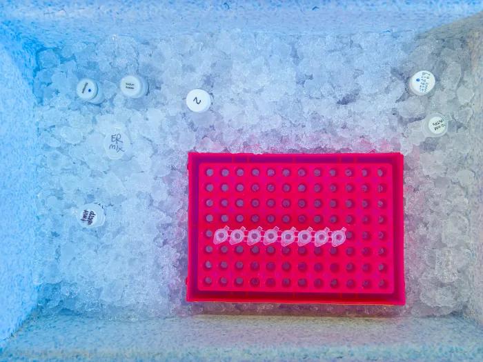 Equipment in the Epigenomics Core