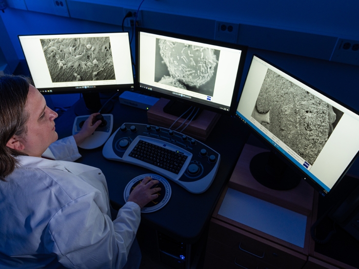 Photo of a researcher in front of computers showing electron microscopy