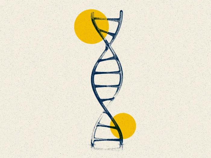 dna strand