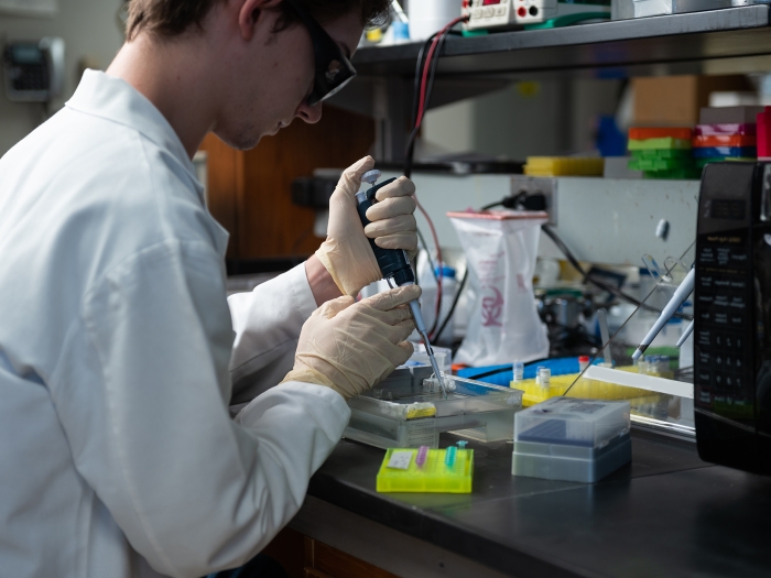 young researcher working in lab