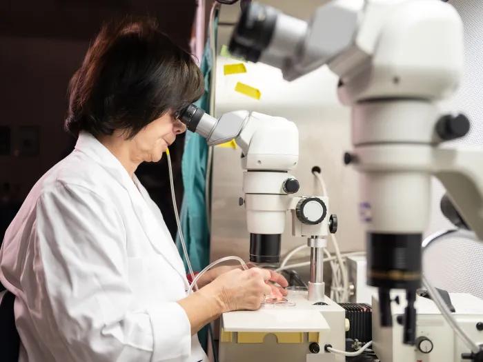 researcher working in lab