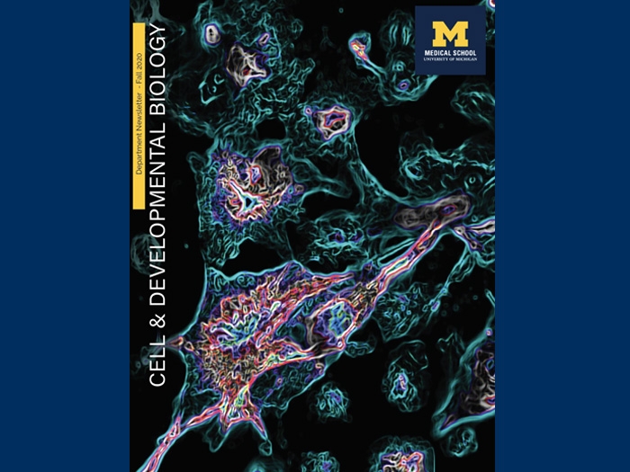 cover of a CDB 2020 annual report