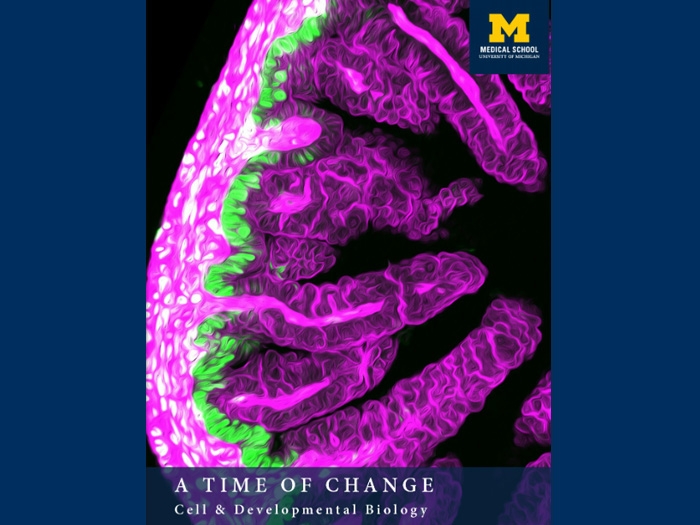cover of CDB's 2021 annual report