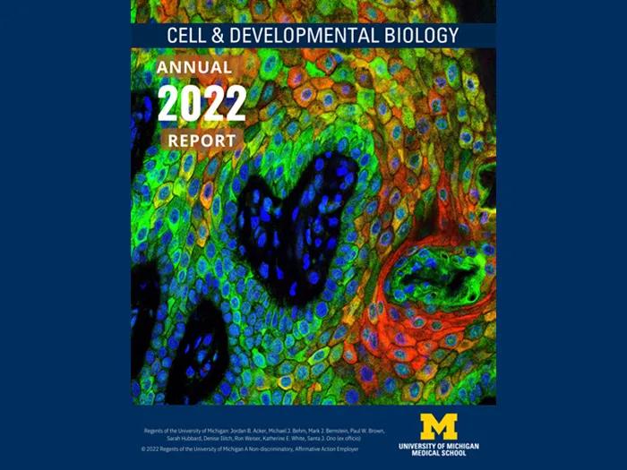 cover of CDB's 2022 annual report
