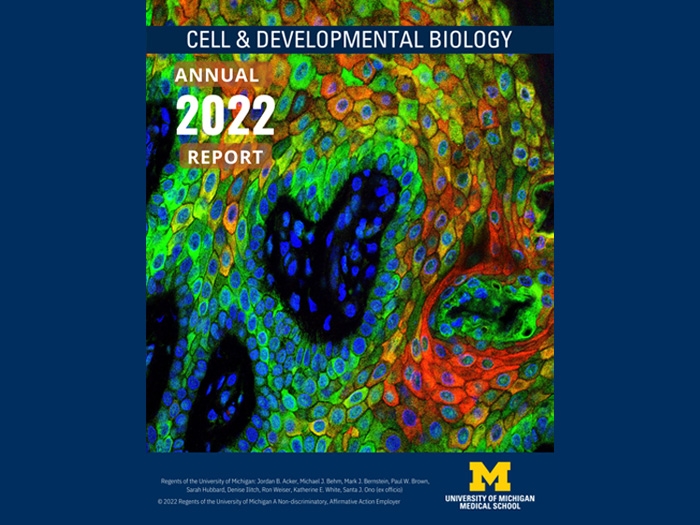 cover of CDB's 2022 annual report