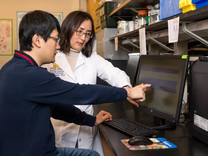 FFMI-Borjigin lab