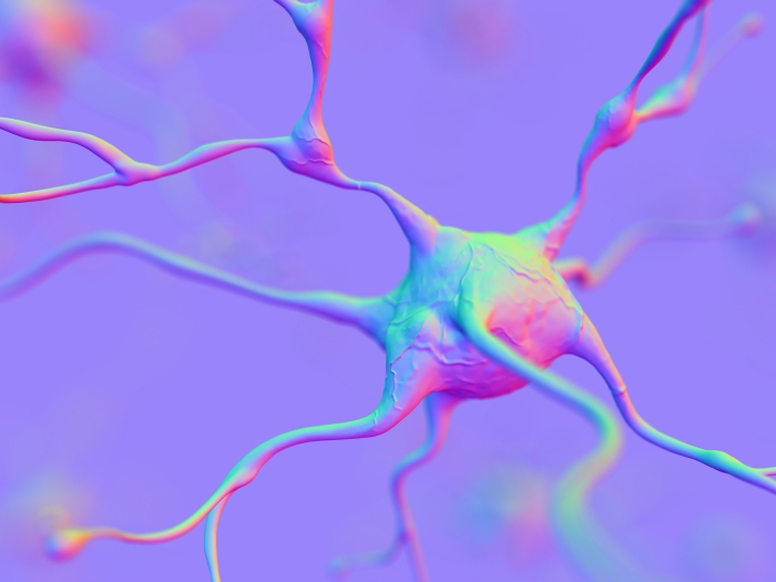 Illustration of neuron cell