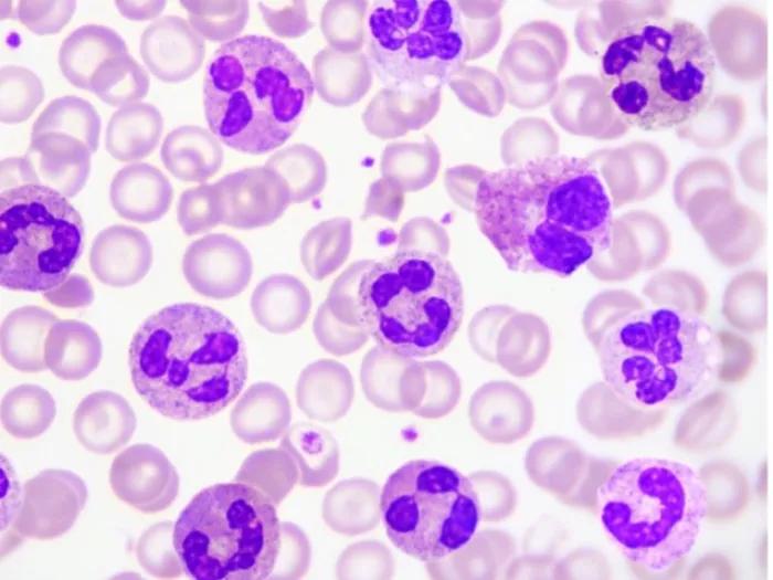 immunology