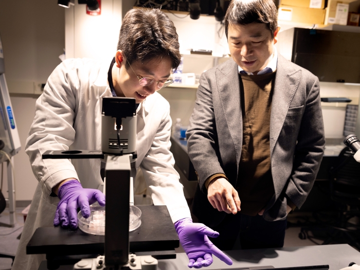 Jianping Fu, Ph.D., Professor of Mechanical Engineering at the University of Michigan and the corresponding author of the paper being published at Nature discusses his team’s work in their lab with Jeyoon Bok, Ph.D. candidate at the Department of Mechanical Engineering. 