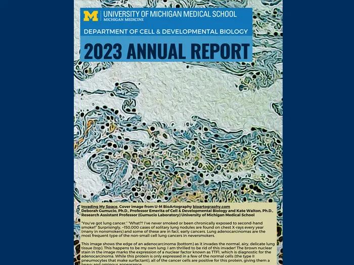 cover of CDB 2023's annual report