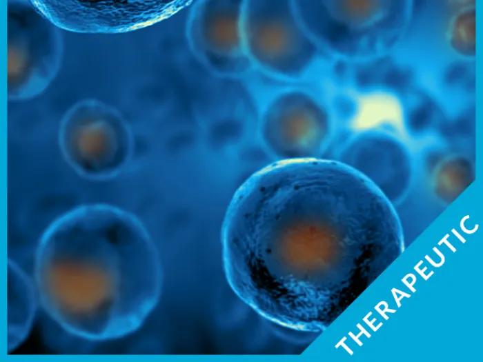 mesenchymal