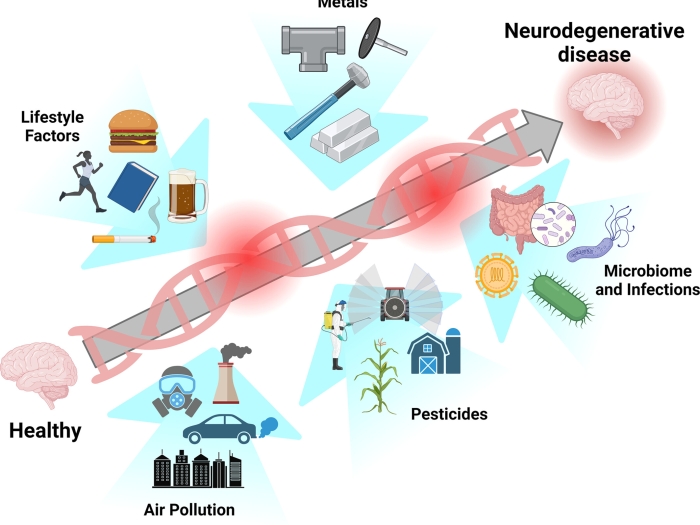 Figure from the Annals of Clinical Neurology