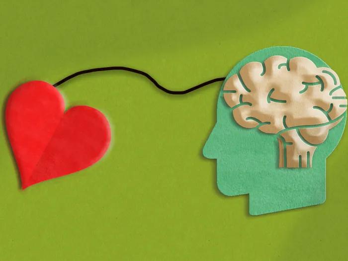 green background connecting to teal skull with brain inside both just outlines made out of felt 