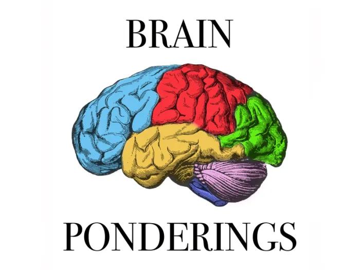 Brain Ponderings logo that features a brain drawing with different sections in different colors and a serif font