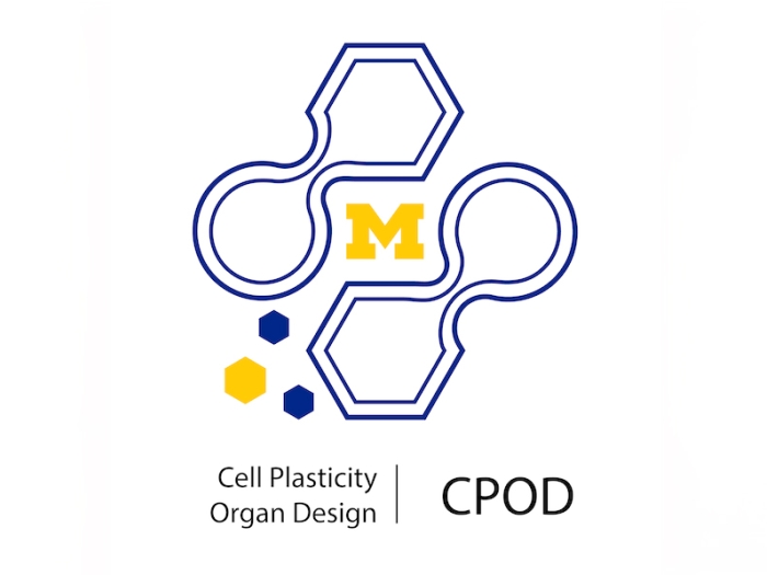 Block M surrounded by a graphic design with Cell Plasticity Organ Design under it