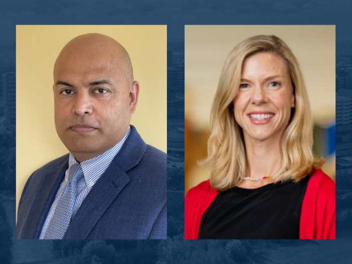 Dinesh Pal and Kelley M Kidwell