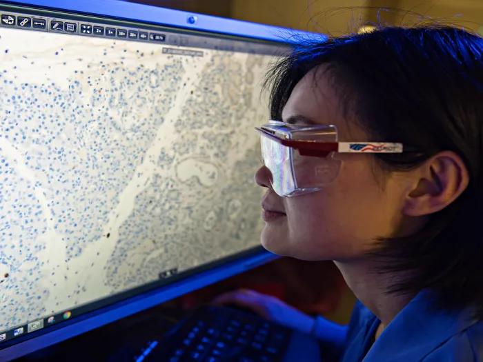 pancreatic research at the howard lab