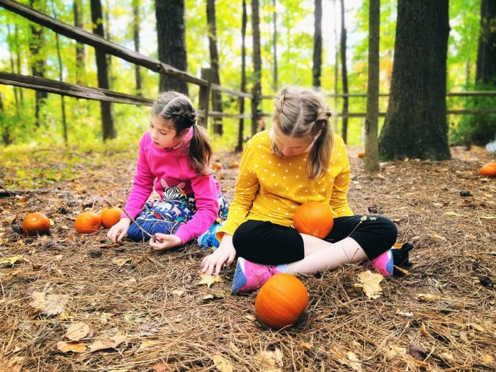 little girls who are sisters sitting in outside area with pumpkins in pink and yellow shirt 