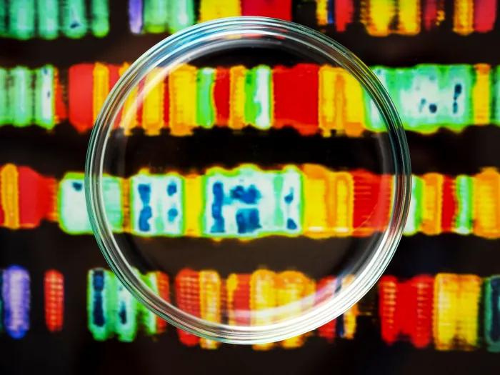 Lens in front of of series of multi-color images