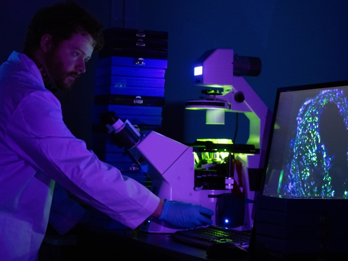 Ian in a dark laboratory looking at a computer screen that is displaying cells under a microscope
