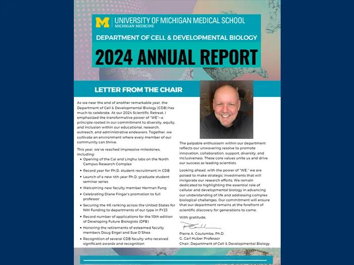 cdb-newsletter-2024