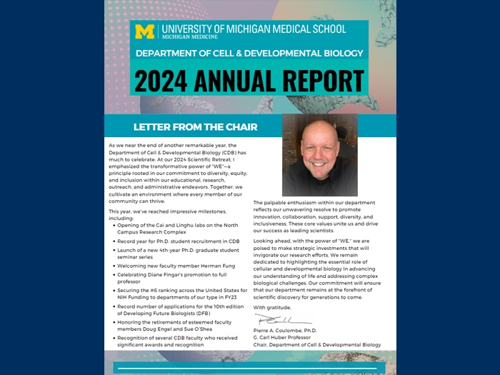 cdb-newsletter-2024