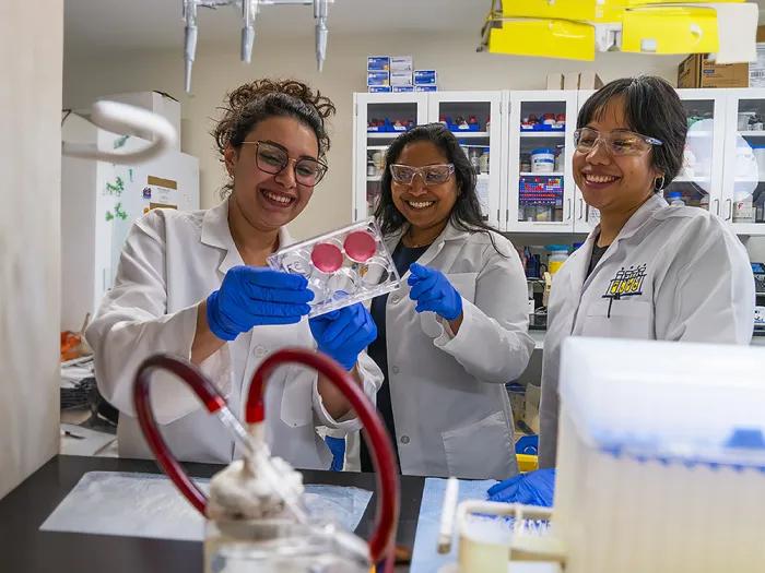 three researchers working in a lab