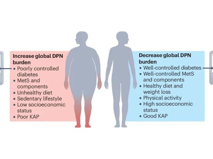 Graphic of an obese person next to a fit person.  Obese person has red arms and legs to signify neuropathy.
