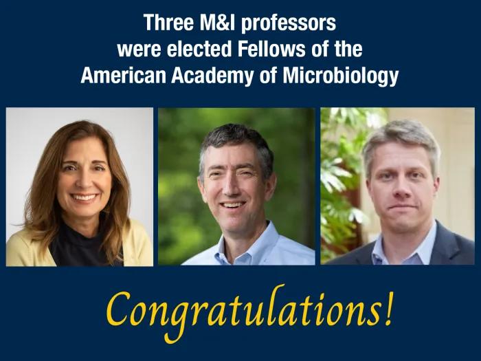 Kirschner, Lauring and Martens elected into the AAM