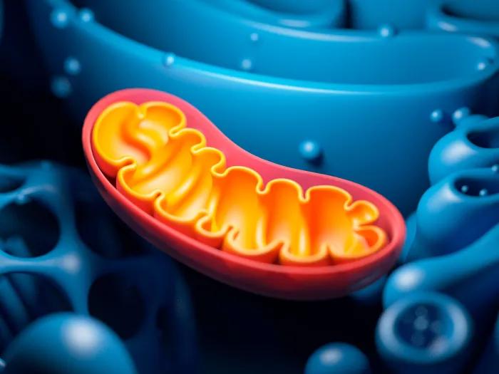 orange cell in blue cells