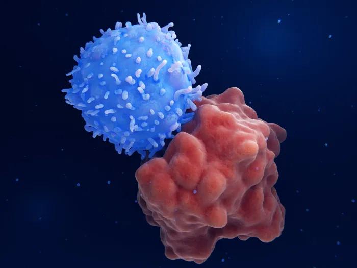 blue cell and red cell merging on dark blue screen