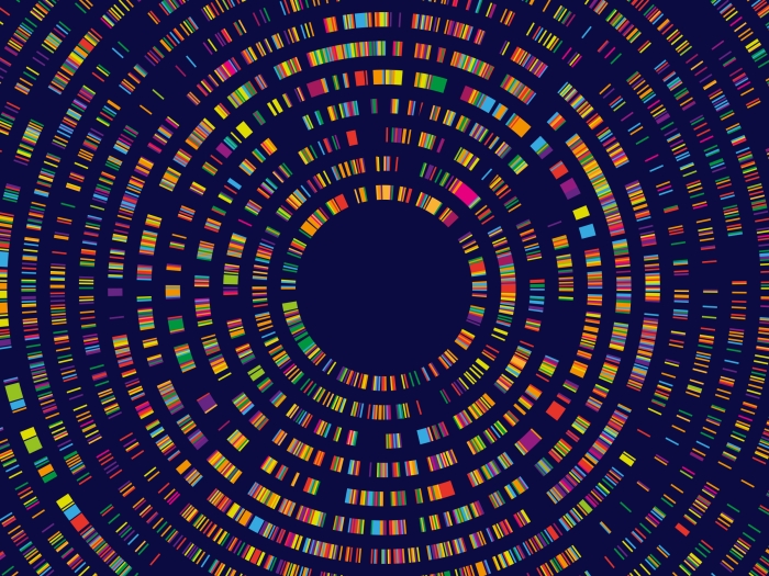 circular image colorful on navy background