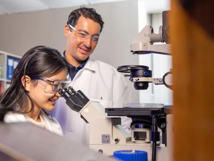 two researchers working in a lab