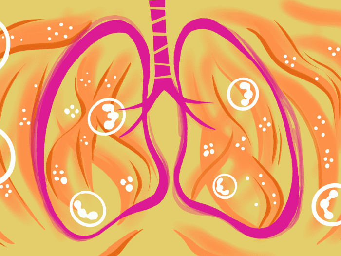 lungs beating pink and orange and yellow and white circles floating around