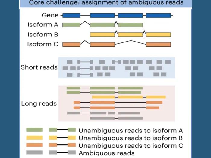Core challenges: Assignment of ambiguous reads 
