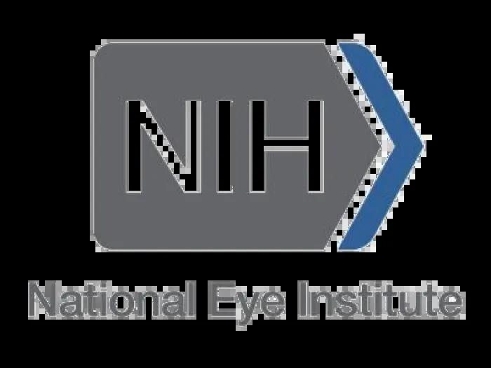 NEI logo