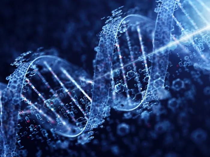DNA