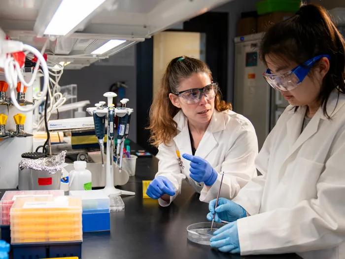 Dr. Affinati working with a team member in the lab