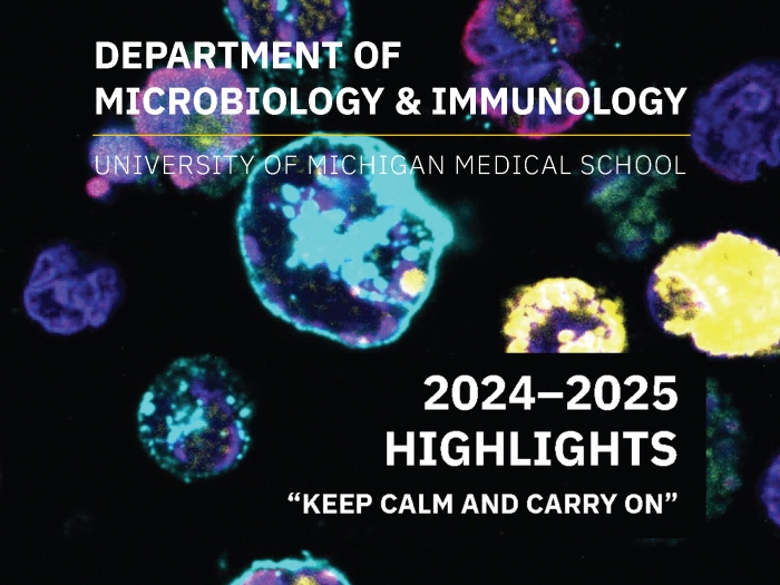 M&I 2024-25 highlights - square vignette
