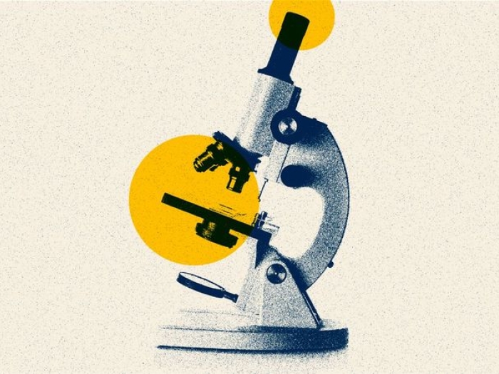 microscope drawing in navy and yellow with off white background