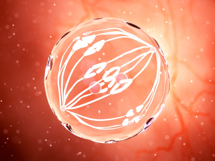 orange circle in middle lit up