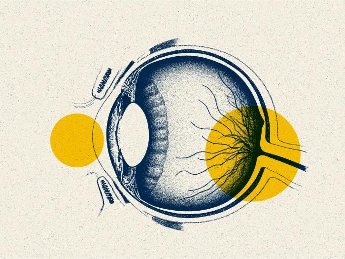 eye drawing blue yellow highlight 