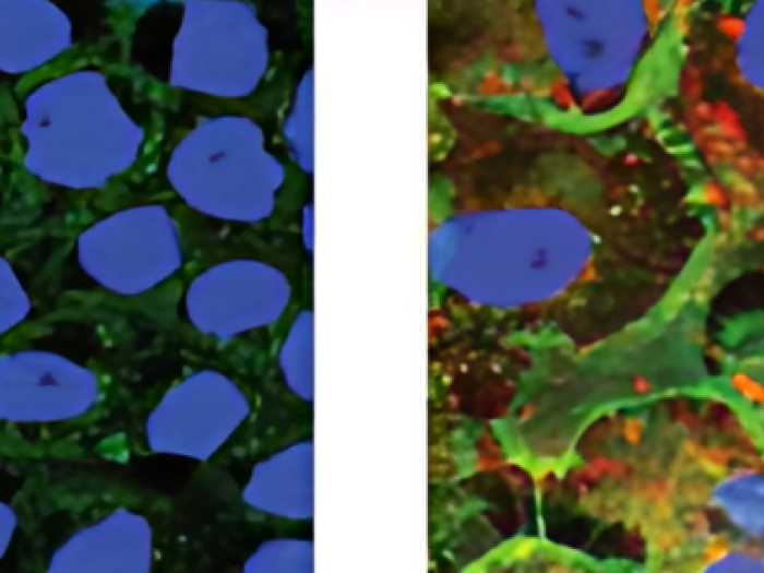 bioart image