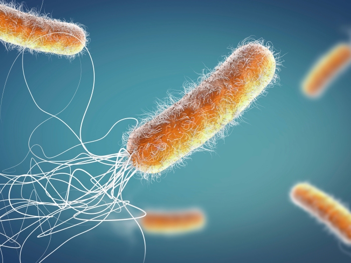 orange long germ cell floating through air with blue background with white strings following each which are going in all different directions