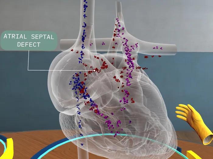 see through heart on table through virtual reality set up
