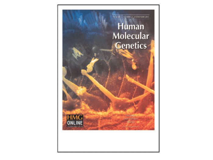 Human Molecular Genetics Cover