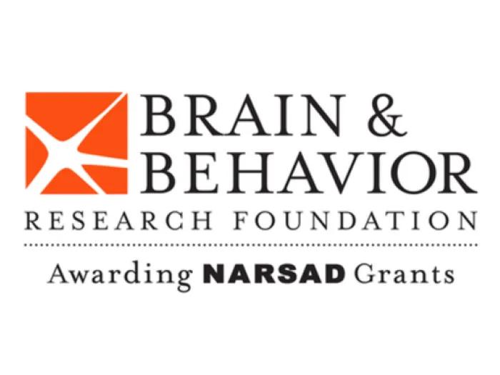 An orange and white logo for the Brain & Behavior Research Foundation