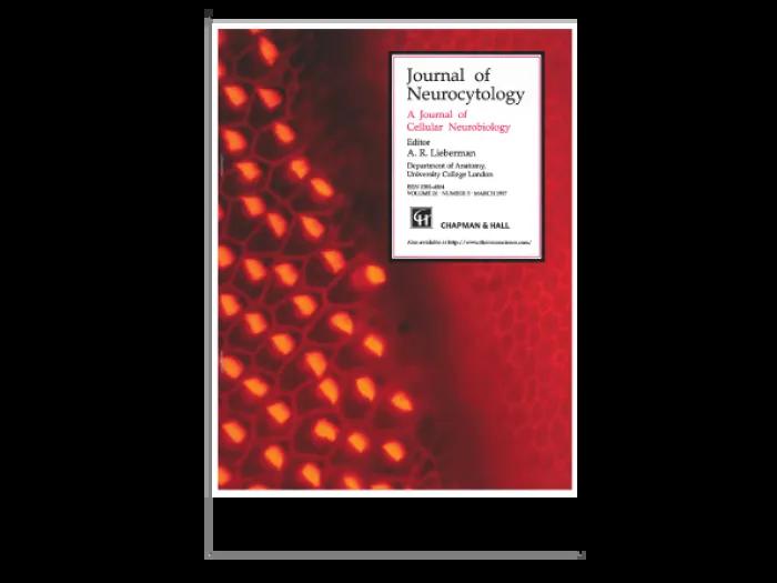 J Neurocytol . 1992 Sep;21 Cover